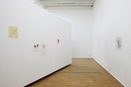 Ulrike Lienbacher, Elitekörper // Revolte, 
Installationsansicht Salzburger Kunstverein 2010