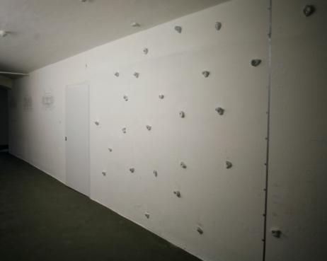 Severin Weiser, Aufstieg, 2010, Installation, Haltegriffe