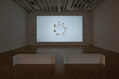 Mircea Cantor, Tracking Happiness, 2009, Ausstellungsansicht Salzburger Kunstverein 2011