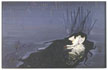 Michael Raedecker: the reflex, 2003 acrylic and thread on canvas 190x300 cm, Courtesy The Approach, London
