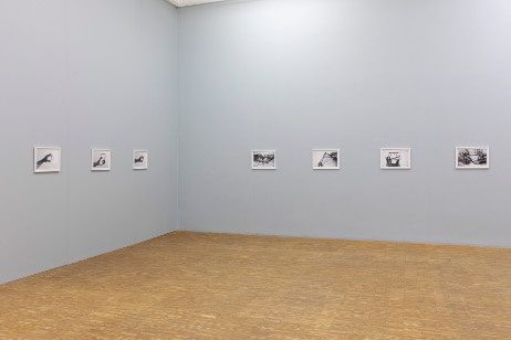 Gernot Wieland, Ink in Milk, 2018, prints.
Exhibition view Salzburger Kunstverein 2020.